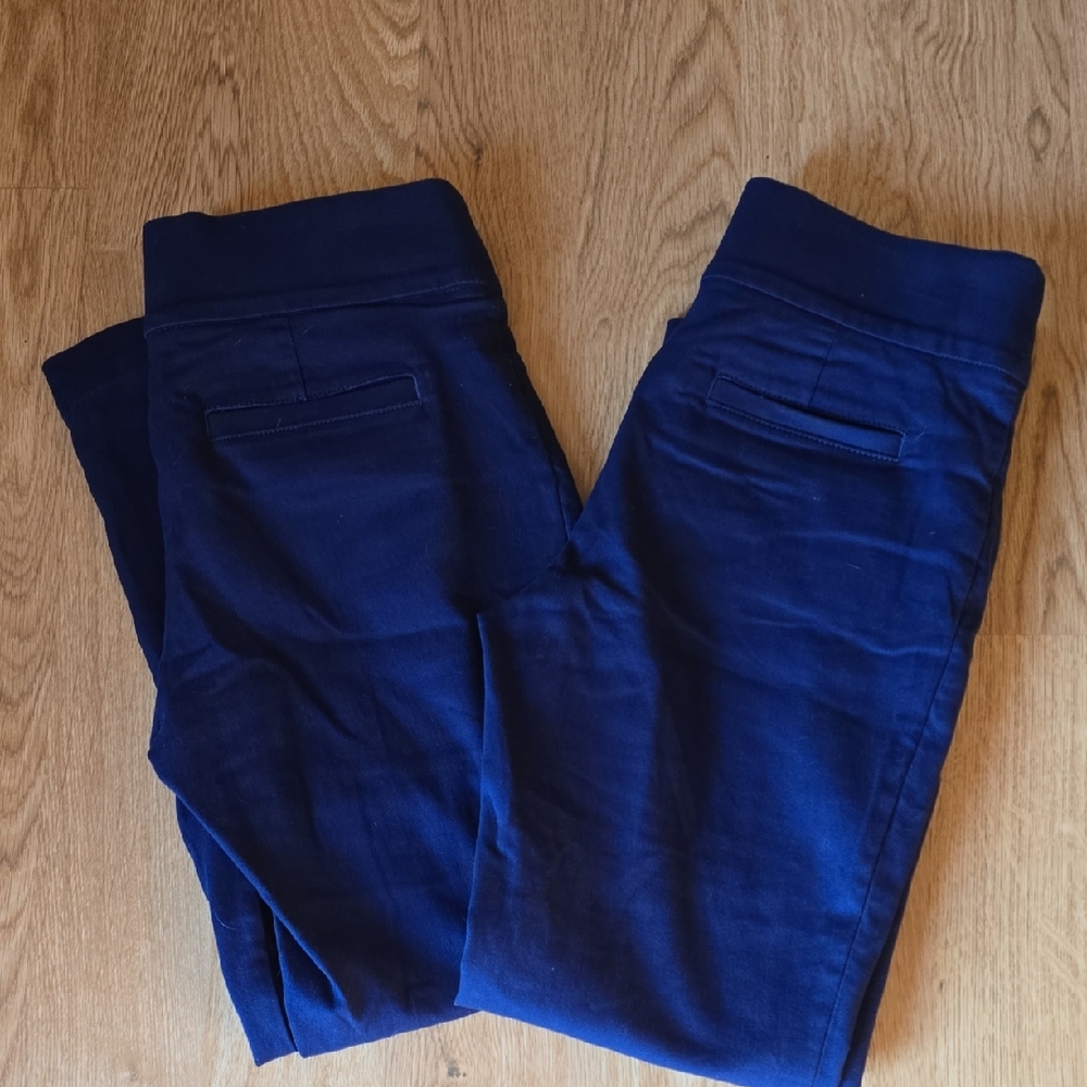 St John's Ankle Pants SZ 4 Blue